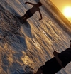 imagen_865