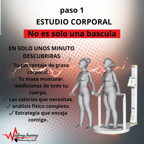 imagen_198