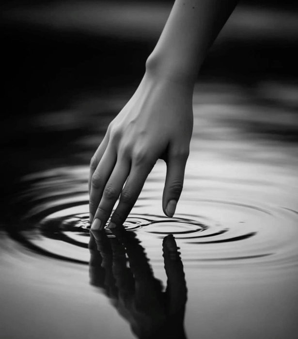 imagen_1509